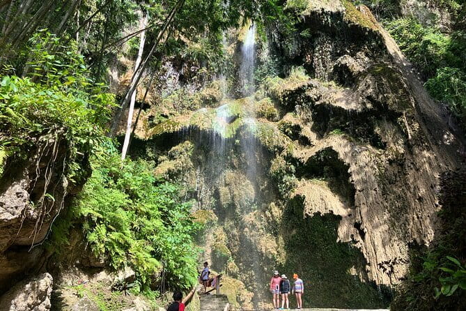 Oslob Whale Shark & Tumalog Waterfalls & Sumilon Sandbar - Whale sharks in Oslob: what you can realistically expect