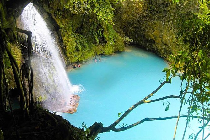 Oslob Whale Shark watching + Canyoneering Adventure Tour - Oslob whale shark watching and snorkeling: what to expect