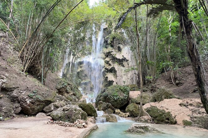 Oslob Whale Shark Watching + Kawasan Falls Day Tour - Whale Sharks in Oslob: what the morning really feels like