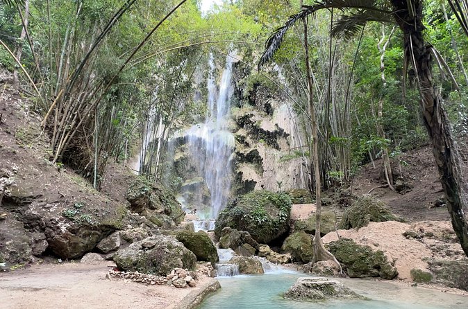 Oslob Whale Shark Watching + Kawasan Falls Day Tour - Price and value: is $130 worth it?