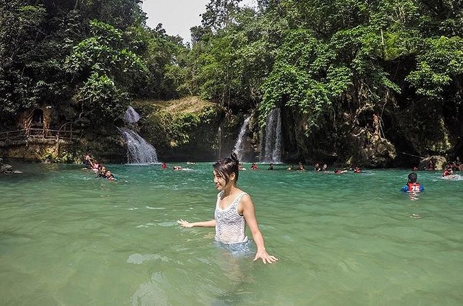 Oslob Whale Shark Watching + Kawasan Falls Day Tour - If you care about animal welfare, here’s how to decide