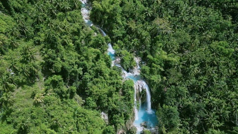 Oslob: Whale Sharks, Inambakan Falls & Moalboal Sardines - Entering the 3:00 am reality: the timing that makes or breaks this tour