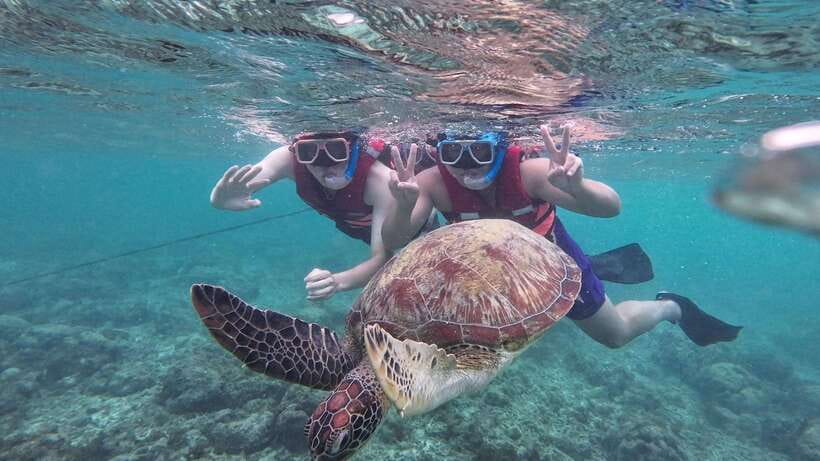 Oslob: Whale Sharks, Inambakan Falls & Moalboal Sardines - Transportation and pacing: what the long drive actually does to your day