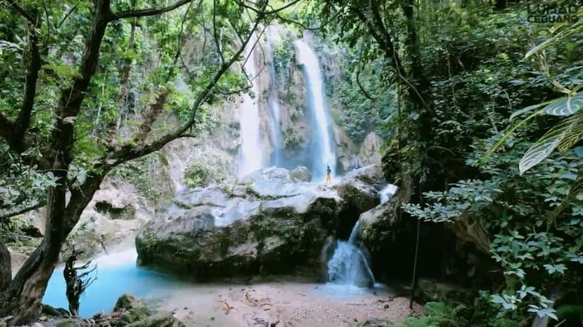 Oslob: Whale Sharks, Inambakan Falls & Moalboal Sardines - Price and value: is $132 fair for whale sharks, falls, and sardines?