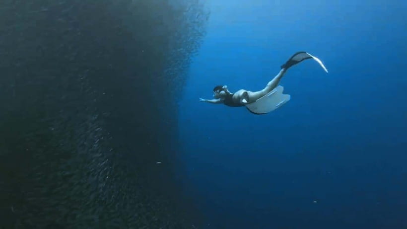 Oslob: Whale Sharks, Inambakan Falls & Moalboal Sardines - Quick reality check: weather, water conditions, and how flexible you should be