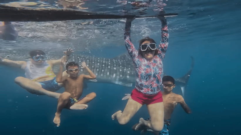 Oslob: Whale Sharks, Tumalog Falls & Sumilon Trio Adventure - Key Points Worth Your Attention
