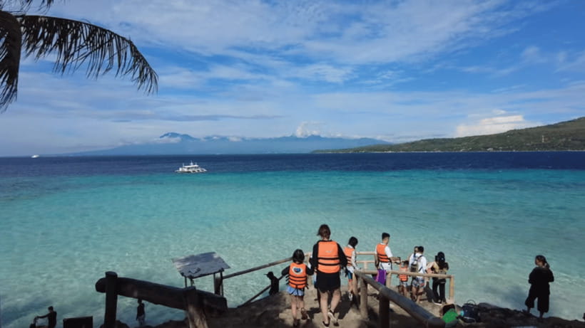Oslob: Whale Sharks, Tumalog Falls & Sumilon Trio Adventure - Price and Value: Does $103 Make Sense?