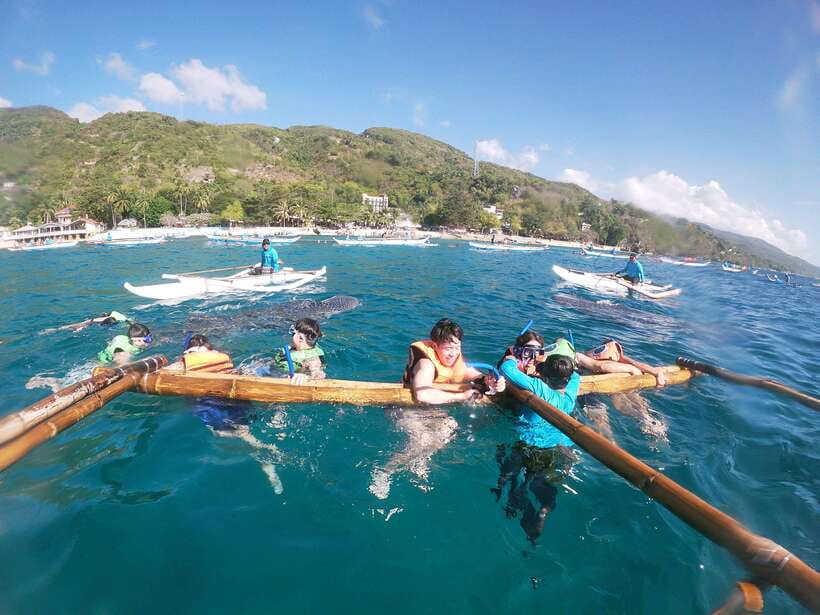 Oslob: Whaleshark Swimming, Tumalog Falls & Sumilon Island - The drive and timing: what the day feels like, start to finish