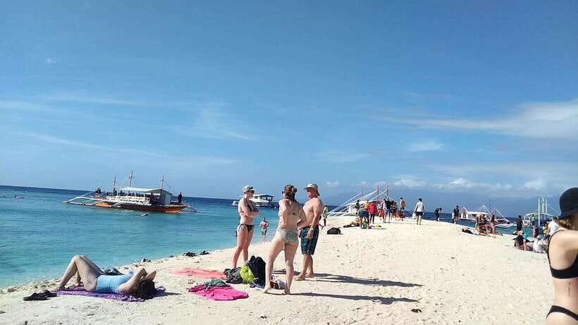 Oslob: Whaleshark Swimming, Tumalog Falls & Sumilon Island - Guides, communication, and the one thing to confirm