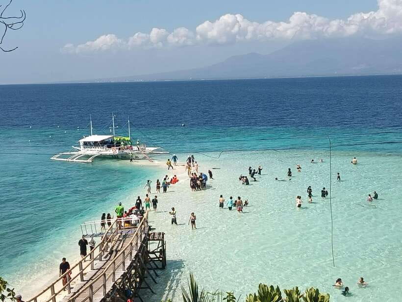 Oslob: Whaleshark Watching, Sumilon Island & Monkey Viewing - Key points before you go