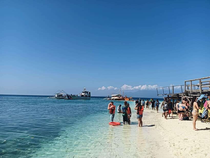 Oslob: Whaleshark Watching, Sumilon Island & Monkey Viewing - Oslob Cuartel and Monkey Viewing: short, close-up, and a little chaotic