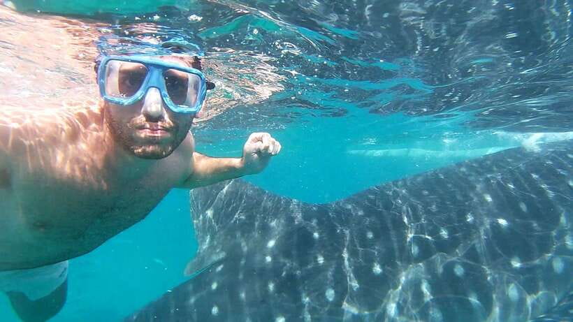 Oslob: Whaleshark Watching, Sumilon Island & Monkey Viewing - Who should book this, and who should rethink it