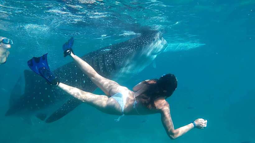 Oslob: Whaleshark Watching, Tumalog Falls & Sumilon Island - The included meals and breaks that keep the schedule realistic