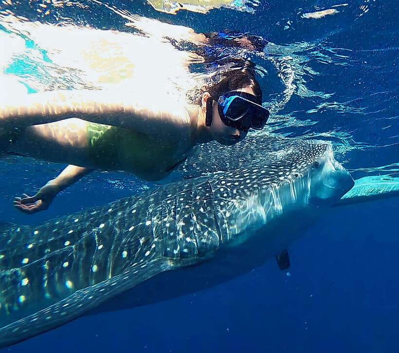 Oslob: Whaleshark Watching, Tumalog Falls & Sumilon Island - The 2-3 AM pickup: what it’s like, and how to survive it