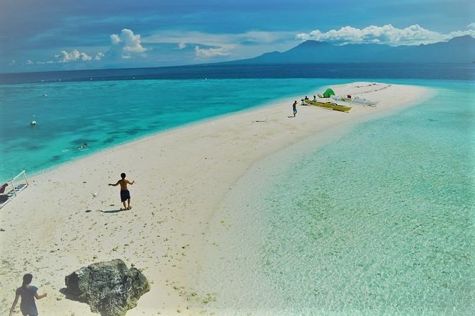 Oslob Whaleshark with Sumilon Island - The 3:00 am start and smooth pickup from Cebu City or Mactan
