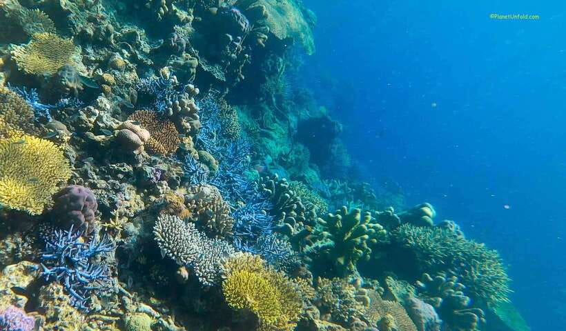 Palawan: Coron Island Super Ultimate Private Tour - Entering Coron’s top-water world in one private 8.5-hour run