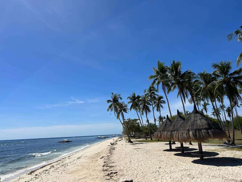 Pamilacan island: Dolphins, snorkel, lunch and walking tour - Why Pamilacan Feels More Personal Than Most Bohol Day Trips
