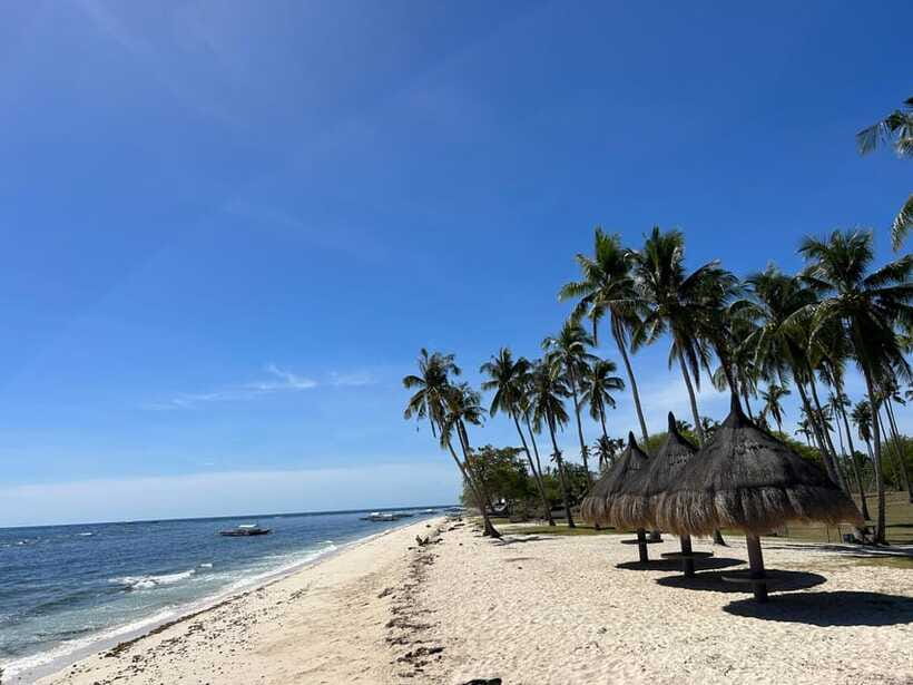 Pamilacan island: Dolphins, snorkel, lunch and walking tour - Dolphins on the Water: What You Can Expect Before Snorkeling