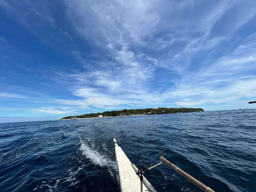Pamilacan island: Dolphins, snorkel, lunch and walking tour - Price and What You Really Get for $139