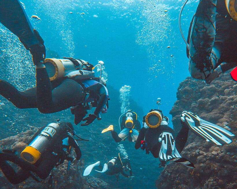 Panglao Bohol: Try Scuba Diving at Napaling and Sardines - Key highlights I’d circle first