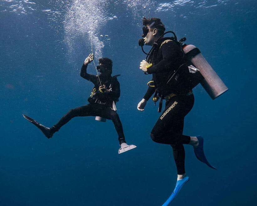 Panglao Bohol: Try Scuba Diving at Napaling and Sardines - The sardines: what to look for, and what to manage