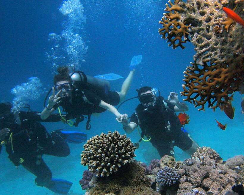 Panglao Bohol: Try Scuba Diving at Napaling and Sardines - The itinerary flow: what each part is really for