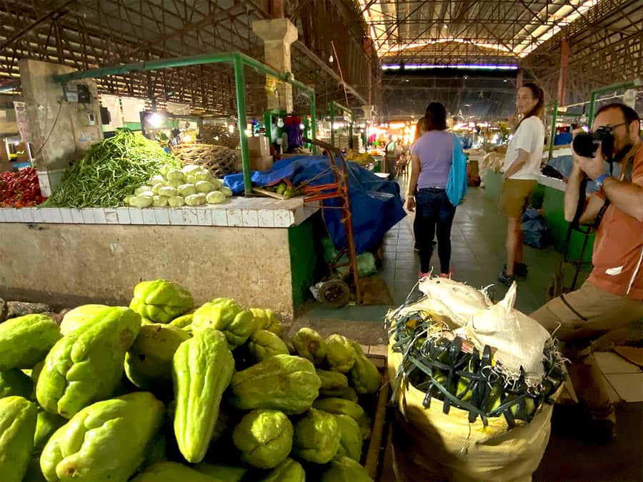 Panglao: Dao, Forests, and Tarsier Sanctuary Tour with Lunch - The Bilar Area: Scenic Stops, Coconut Water, and a Real Taste of Bohol