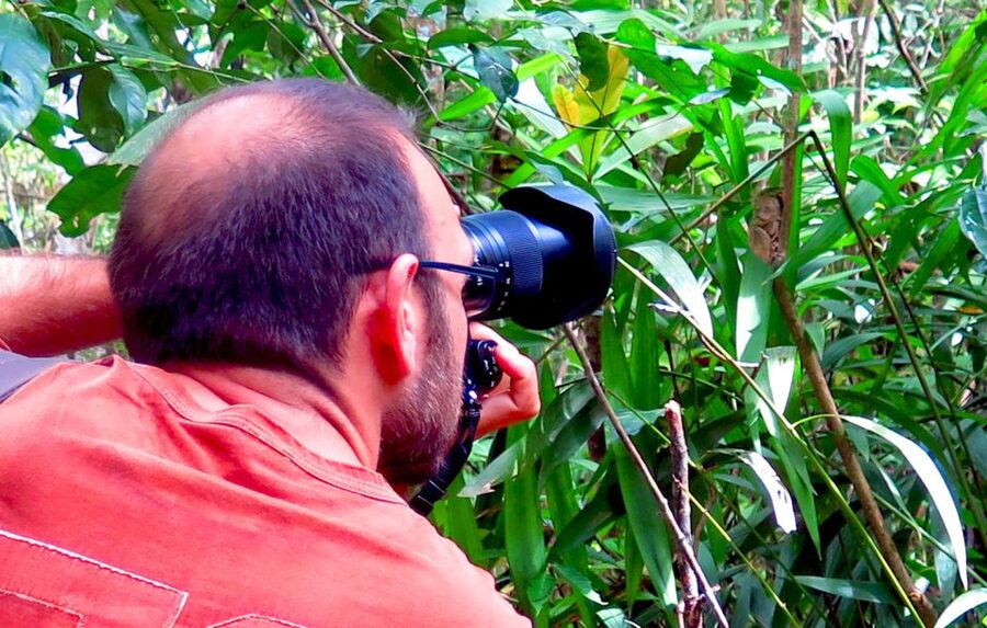 Panglao: Dao, Forests, and Tarsier Sanctuary Tour with Lunch - Lunch by the Rice Paddy: The Best Use of Your Money