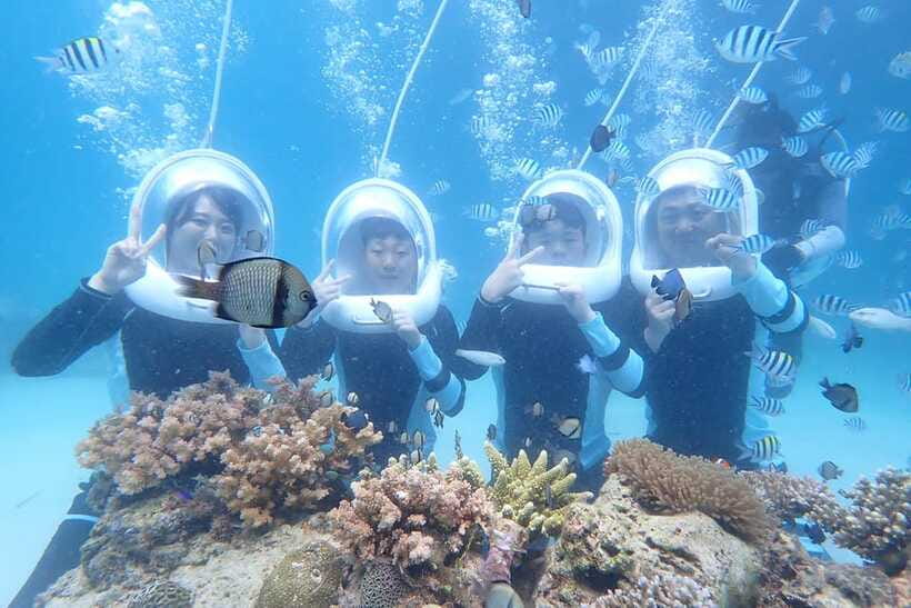 Panglao: Helmet Diving Experience with Photos and Videos - Marine Life You Can Expect Around Panglao