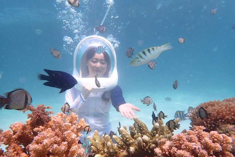 Panglao: Helmet Diving Experience with Photos and Videos - From Alona Beach to the Reef, What the 20 Minutes Actually Feels Like