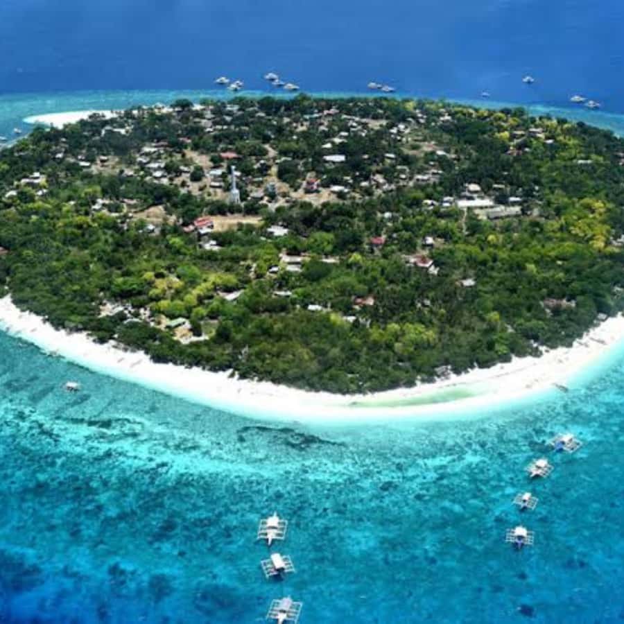 Panglao: Island Hopping w/Balicasag (Shared) - The shared boat experience: good value, mixed control