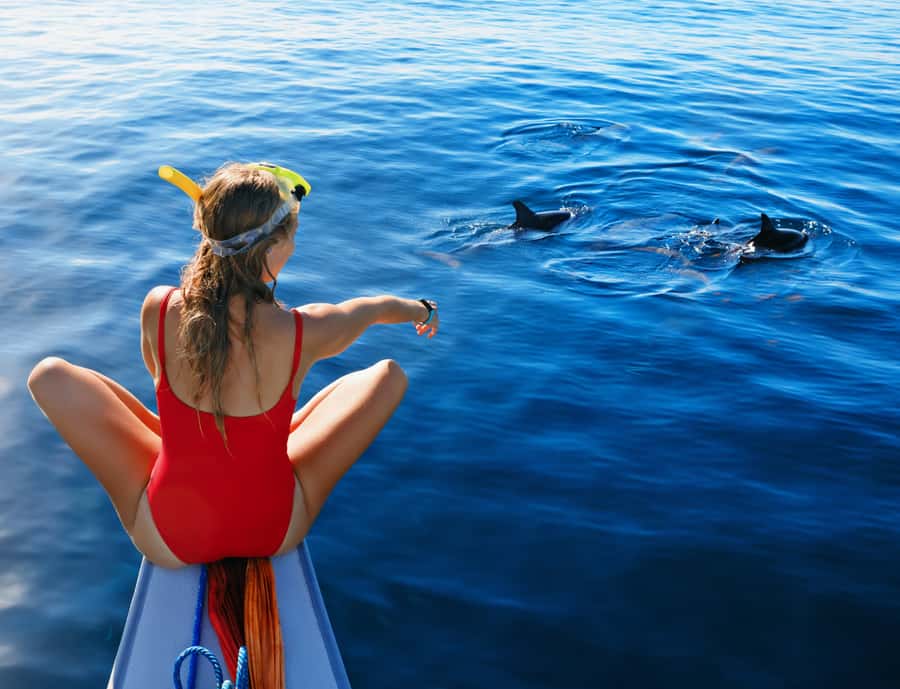 Panglao: Island Hopping w/Balicasag (Shared) - Price and value at around $45 for 5 hours