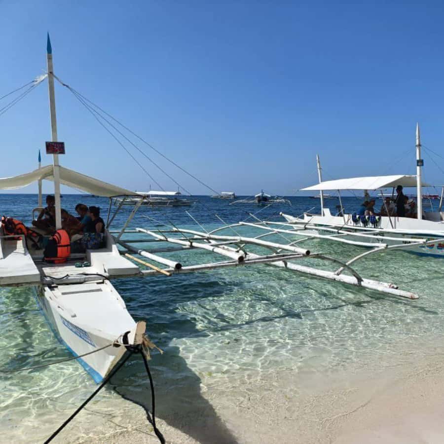 Panglao: Island Hopping w/Balicasag (Shared) - Dolphin watching in Panglao waters: exciting, but keep it flexible