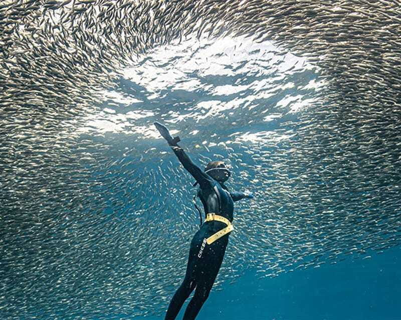 Panglao: Napaling Reef and Sardines Freediving Experience - Arriving at Napaling Reef and Getting Set for Safe Entry