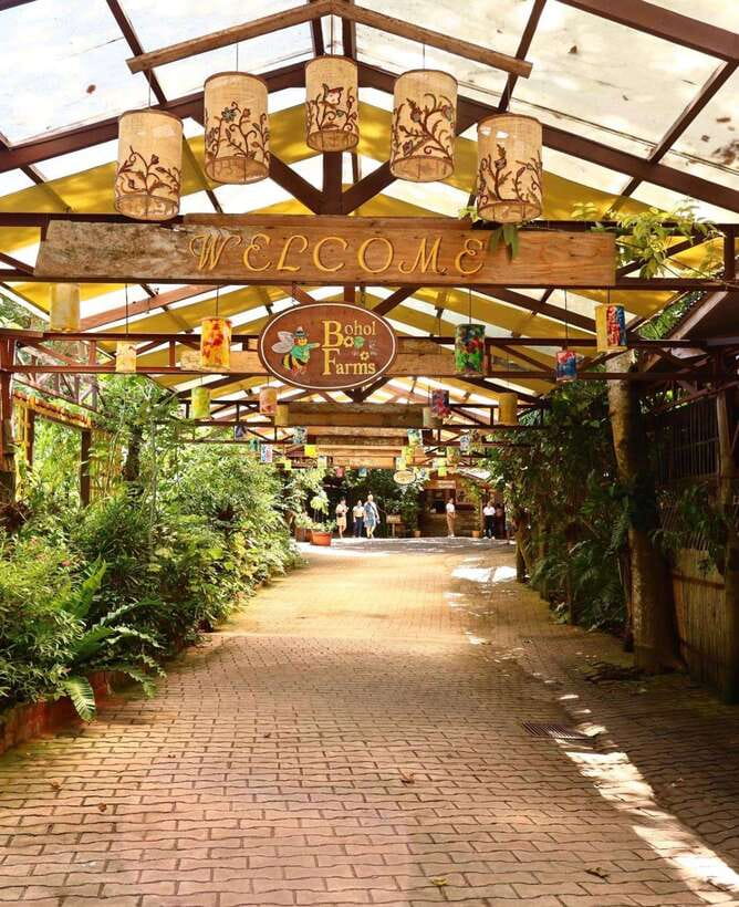 Panglao: Private Cave Pool, Beach & Scenic Day Tour - Choosing South Farm Or Mangrove Walk: Pick Your Calm