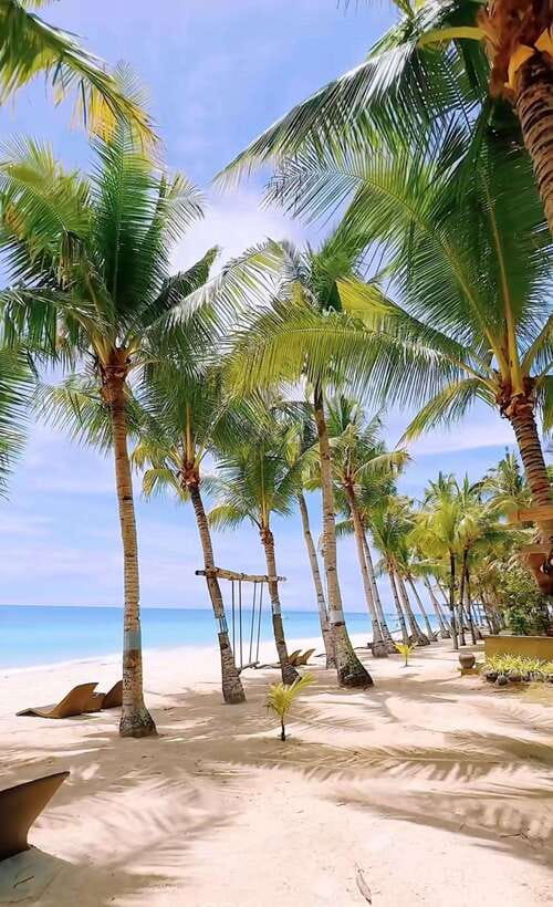 Panglao: Private Cave Pool, Beach & Scenic Day Tour - Who This Tour Is Best For