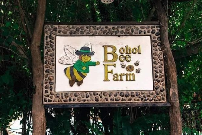 Panglao's Best Hinagdanan Cave, Bee Farm, Mirror of the World - Door-to-door logistics that keep your day from turning into a quest