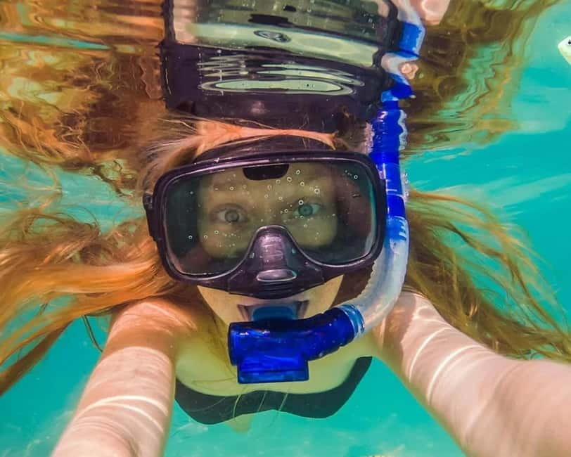 Panglao: Snorkeling at NapalingReef with Sardines Experience - Napaling Reef and the sardines experience on Panglao