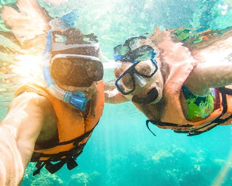 Panglao: Snorkeling at NapalingReef with Sardines Experience - Where you start, how the short transfer works, and why timing matters