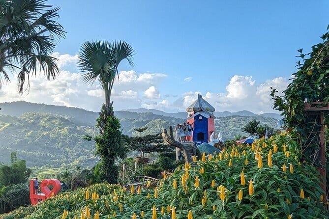 Panoramic View of Cebu and Dinner with Night View - Small group energy and what you should expect on the ground