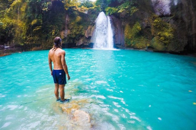 Pescador Island with Sardines & Turtle and Canyoneering in Kawasan Falls - Pescador Island snorkeling: turtles, sardines, and what to expect