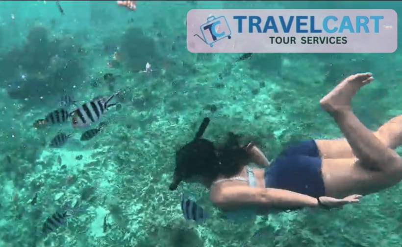 PORT BARTON: Full-day Shared Island Hopping Tour A - Price, the value play, and the Php 200 environmental fee