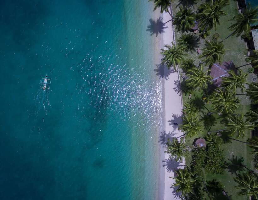 Port Barton: Island Hopping to Turtle Spot & Reef with Lunch - Key points before you go