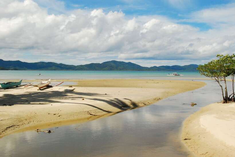 Port Barton: Island Hopping to Turtle Spot & Reef with Lunch - Practical tips to make your day smoother