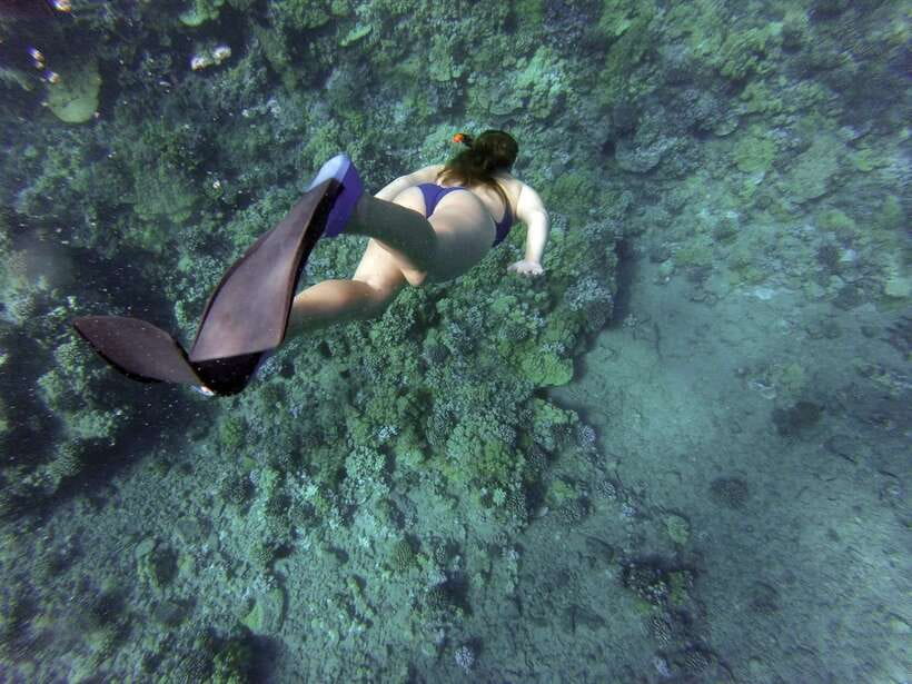 Port Barton: Island Hopping to Turtle Spot & Reef with Lunch - Port Barton’s Turtle Spot day: why this 7-hour mix works