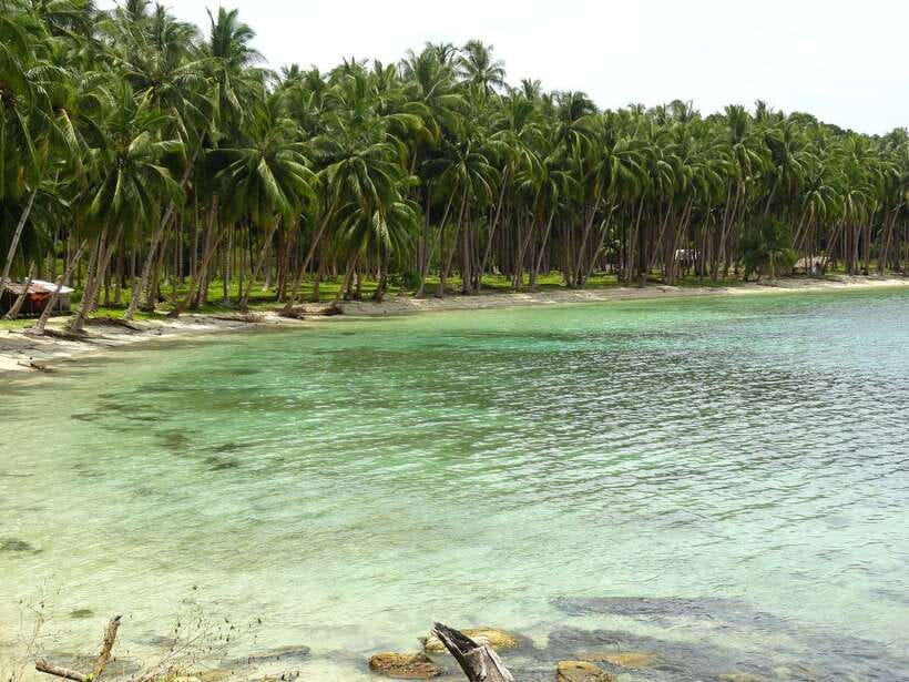 Port Barton: Island Hopping to Turtle Spot & Reef with Lunch - Small-group feel: how crowded is it really?