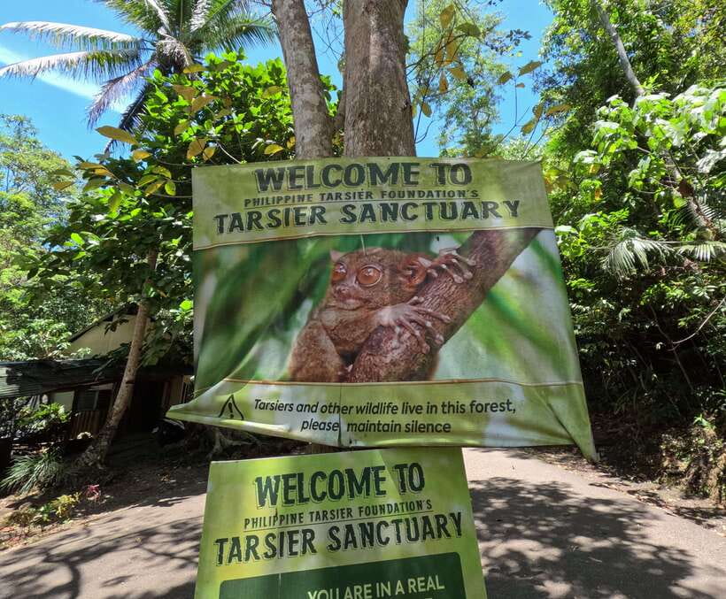 PREMIUM Bohol Eco-Tours: Chocolate hills - Key takeaways before you go