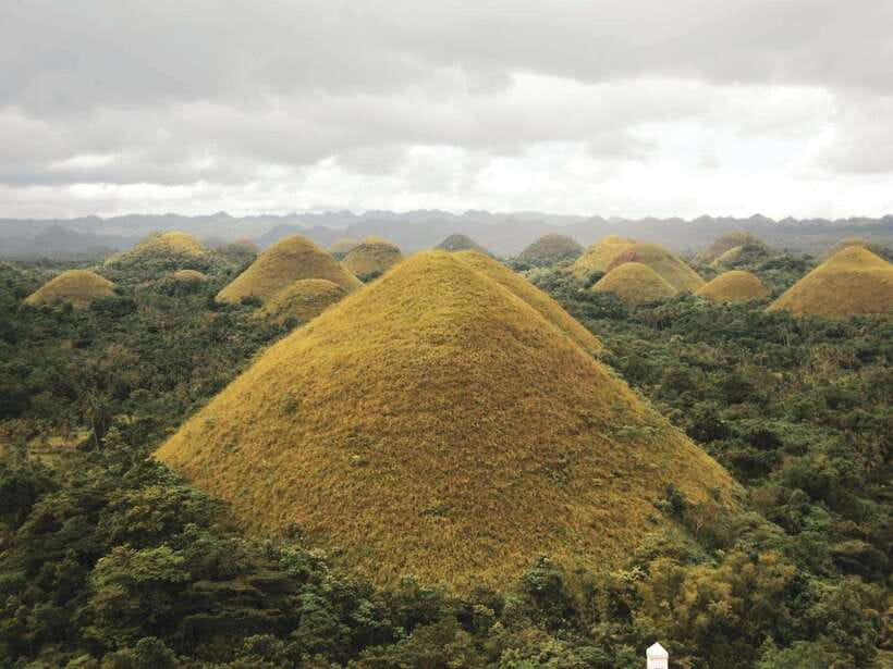 PREMIUM Bohol Eco-Tours: Chocolate hills - The day’s flow: from Corella morning light to a 4:00 to 5:00 PM return