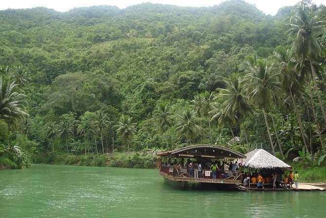 Private Bohol and Chocolate Hills with Loboc River Cruise - Corella tarsier time at the Philippine Tarsier Foundation