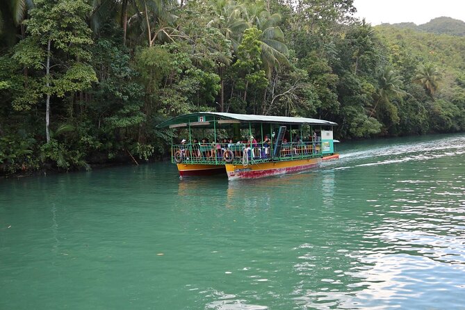 Private Bohol and Chocolate Hills with Loboc River Cruise - The Loboc River cruise lunch that keeps the day from feeling hectic